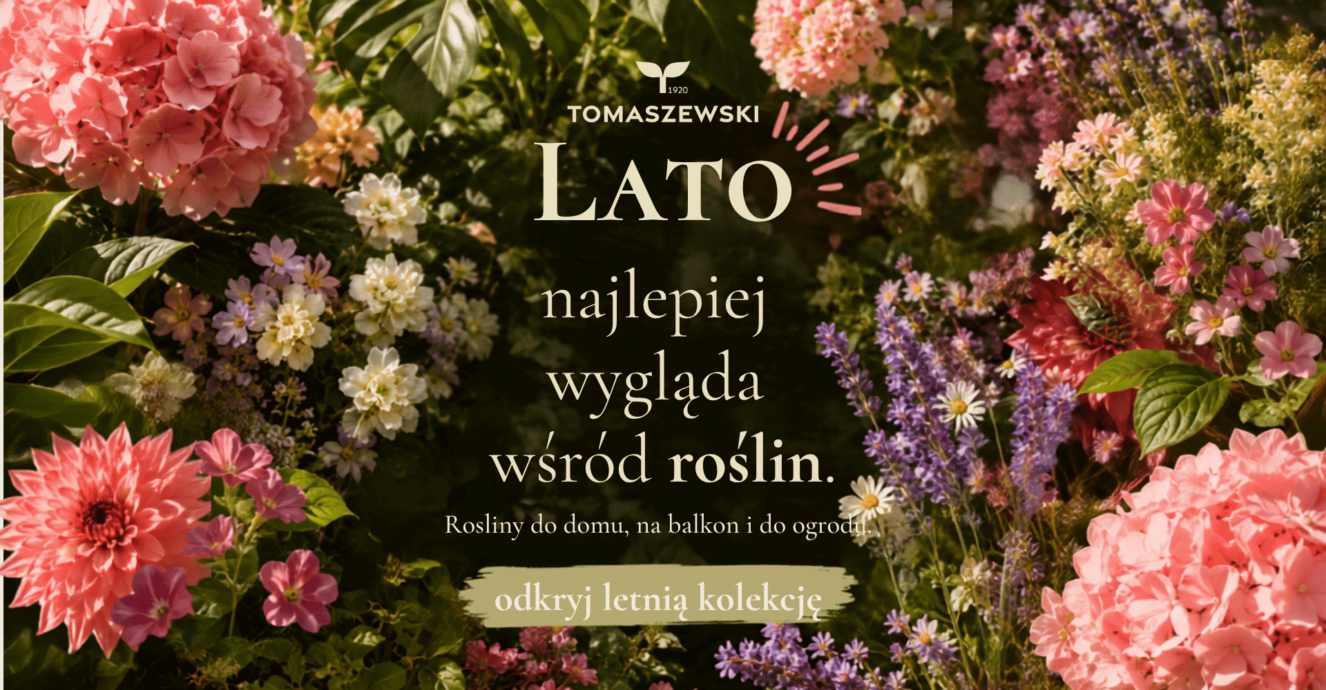 Lato w pełni